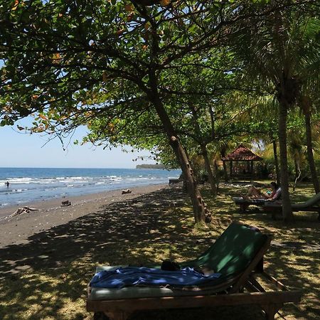 Bali Sandat Tejakula Exteriér fotografie